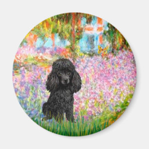 Aimant Caniche (noir 1) - Jardin