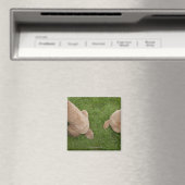Aimant caniche standard (In Situ (Lave-vaisselle))