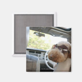 Aimant caniche standard 3 (Recto/Verso)