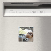 Aimant caniche standard 3 (In Situ (Lave-vaisselle))