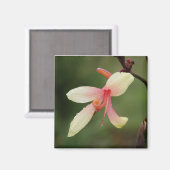 Aimant Canna 'Panache' 1 (Recto/Verso)