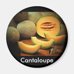 Aimant Cantaloupe