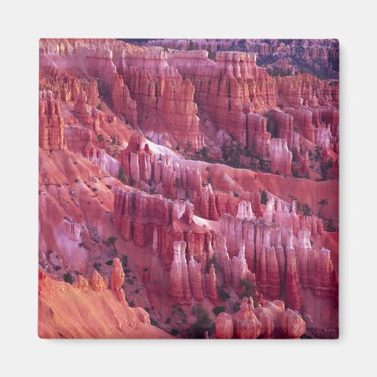 Aimant Canyon Bryce, Utah, États-Unis (Devant)