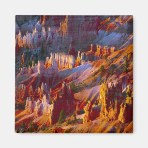 Aimant Canyon Bryce, Utah, États-Unis 2
