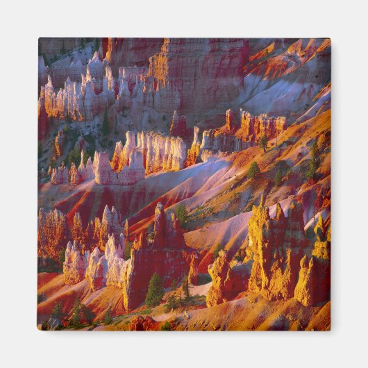 Aimant Canyon Bryce, Utah, États-Unis 2 (Devant)