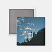 Aimant Canyon de Sabino, Arizona (Recto/Verso)