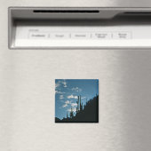 Aimant Canyon de Sabino, Arizona (In Situ (Lave-vaisselle))