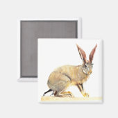 Aimant Cap Hare 2010 2 (Recto/Verso)