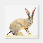 Aimant Cap Hare 2010 2 (Devant)