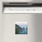 Aimant Capri (In Situ (Lave-vaisselle))