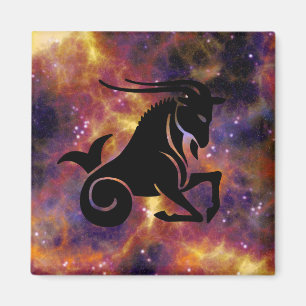 aimant capricorne