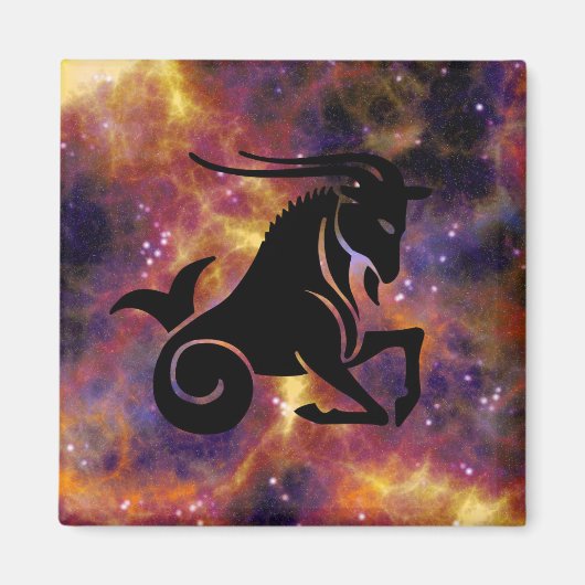 aimant capricorne (Devant)