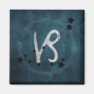 Aimant Capricorne noir & argent constellation zodiaque tu