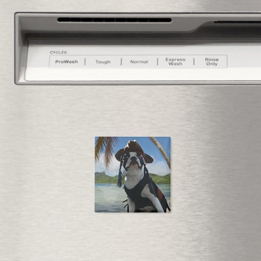 Aimant Capt Jack sparrow (In Situ (Lave-vaisselle))