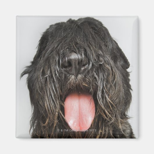 Aimant Capture de studio (Devant)