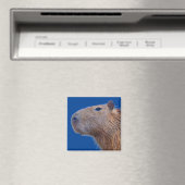 Aimant Capybara (In Situ (Lave-vaisselle))