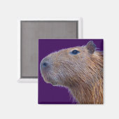 Aimant Capybara (Recto/Verso)