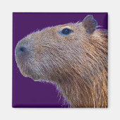 Aimant Capybara (Devant)
