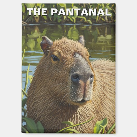 Aimant Capybara dans le Pantanal (Recto)