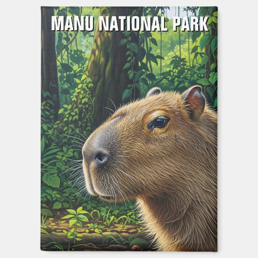 Aimant Capybara dans le parc national de Manu Pérou (Recto)