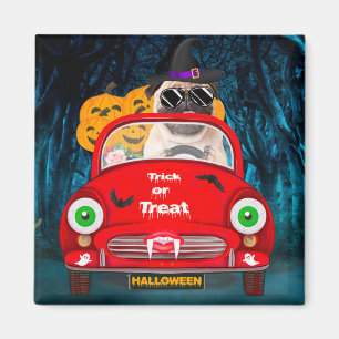 Aimant Car Pug Chien Conduisant Voiture Effrayant Hallowe
