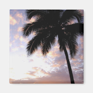 Aimant Caraïbes, îles Vierges américaines, Saint-Thoma