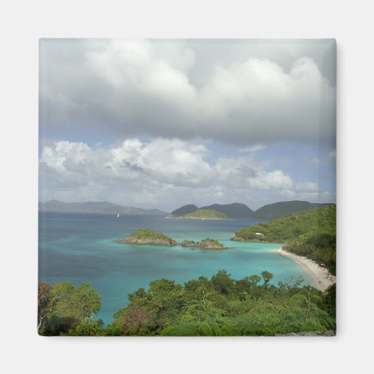 Aimant Caraïbes, Îles Vierges américaines, St. John, Tron (Devant)