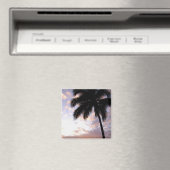 Aimant Caraïbes, Îles Vierges américaines, St.Thomas, 3 (In Situ (Lave-vaisselle))