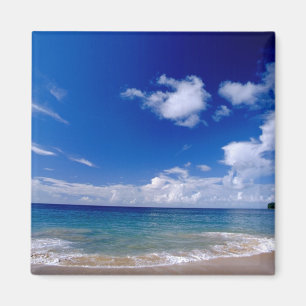 Aimant Caraïbes, Petites Antilles, Indes occidentales,