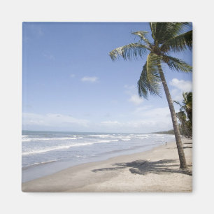 Aimant Caraïbes - Trinité - Plage de Manzanilla sur 2