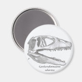 Aimant Carcharodontosaurus saharicus (Recto/Verso)