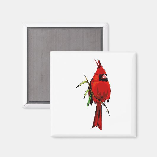 Aimant Cardan Cardinal (Recto/Verso)