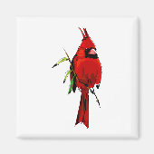 Aimant Cardan Cardinal (Devant)