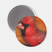 Aimant cardinal (Recto/Verso)