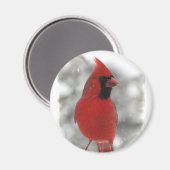 Aimant Cardinal (Recto/Verso)