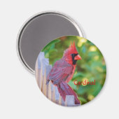 Aimant Cardinal (Recto/Verso)