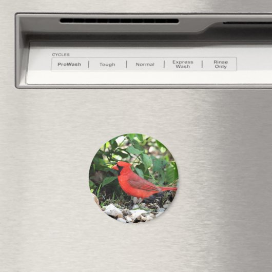 Aimant Cardinal (In Situ (Lave-vaisselle))