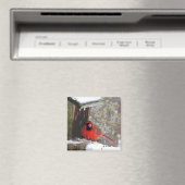 Aimant Cardinal à la source (In Situ (Lave-vaisselle))