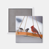 Aimant Cardinal and Juncos (Recto/Verso)