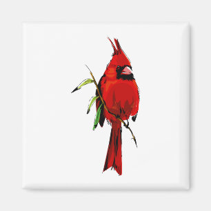 Aimant Cardinal de cardan