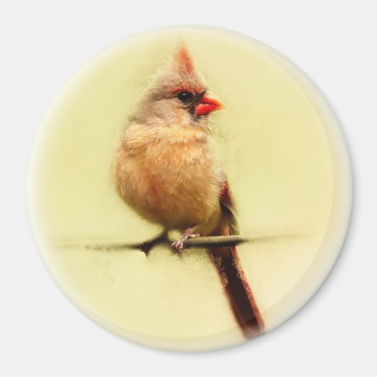 Aimant Cardinal des femmes (Devant)