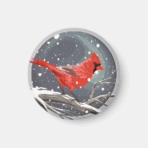 Cardinal d'hiver