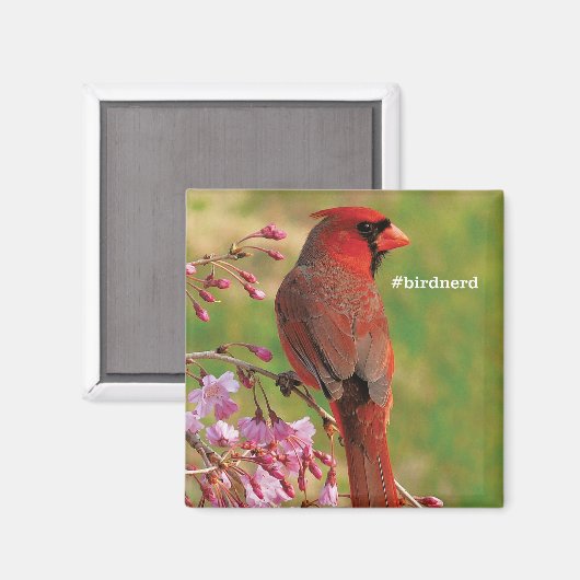 Aimant Cardinal du Nord 2 (Recto/Verso)