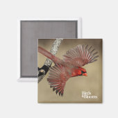 Aimant Cardinal Du Nord En Vol (Recto/Verso)