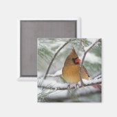 Aimant Cardinal du Nord féminin dans un pin enneigé, (Recto/Verso)