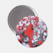 Aimant Cardinal du Nord, Hiver, IL (Recto/Verso)