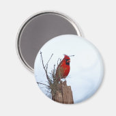 Aimant Cardinal du Nord rouge assis sur un poteau en bois (Recto/Verso)