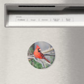 Aimant Cardinal du Nord Woods (In Situ (Lave-vaisselle))