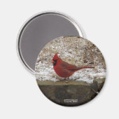 Aimant Cardinal Hot Springs Nat. Cadeaux AR Park Mountain (Recto/Verso)