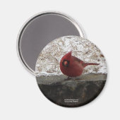 Aimant Cardinal Hot Springs Nat. Park Mt AR Cadeaux Vêtem (Recto/Verso)